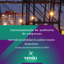 [Master NIAs] Formación para Ser parte de Escuadrónes Especiales (Auditor Externo)