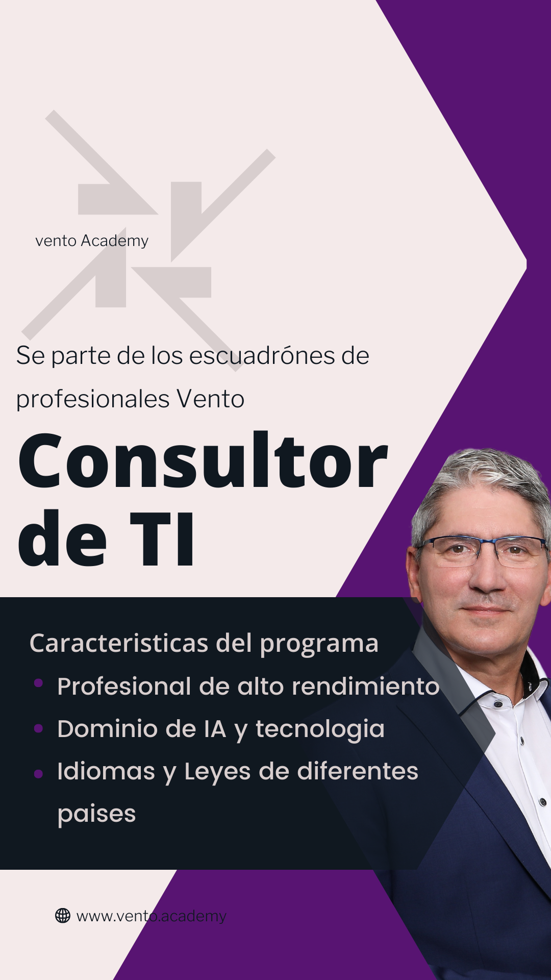 Especialista en Consultoría IT