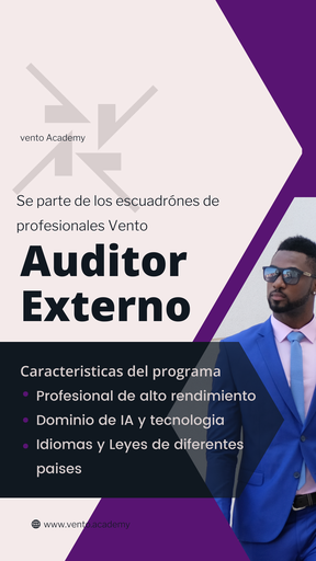 Escuadrón Especial de Auditoría Externa (NIA's)