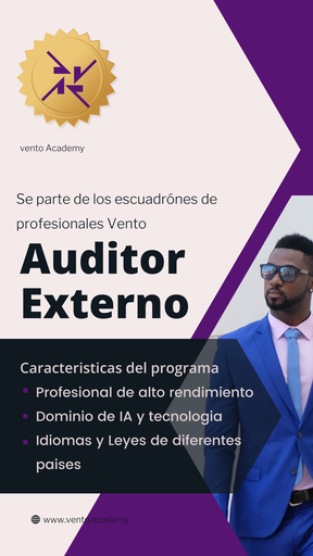 Escuadrón Especial de Auditoría Externa (NIA's)