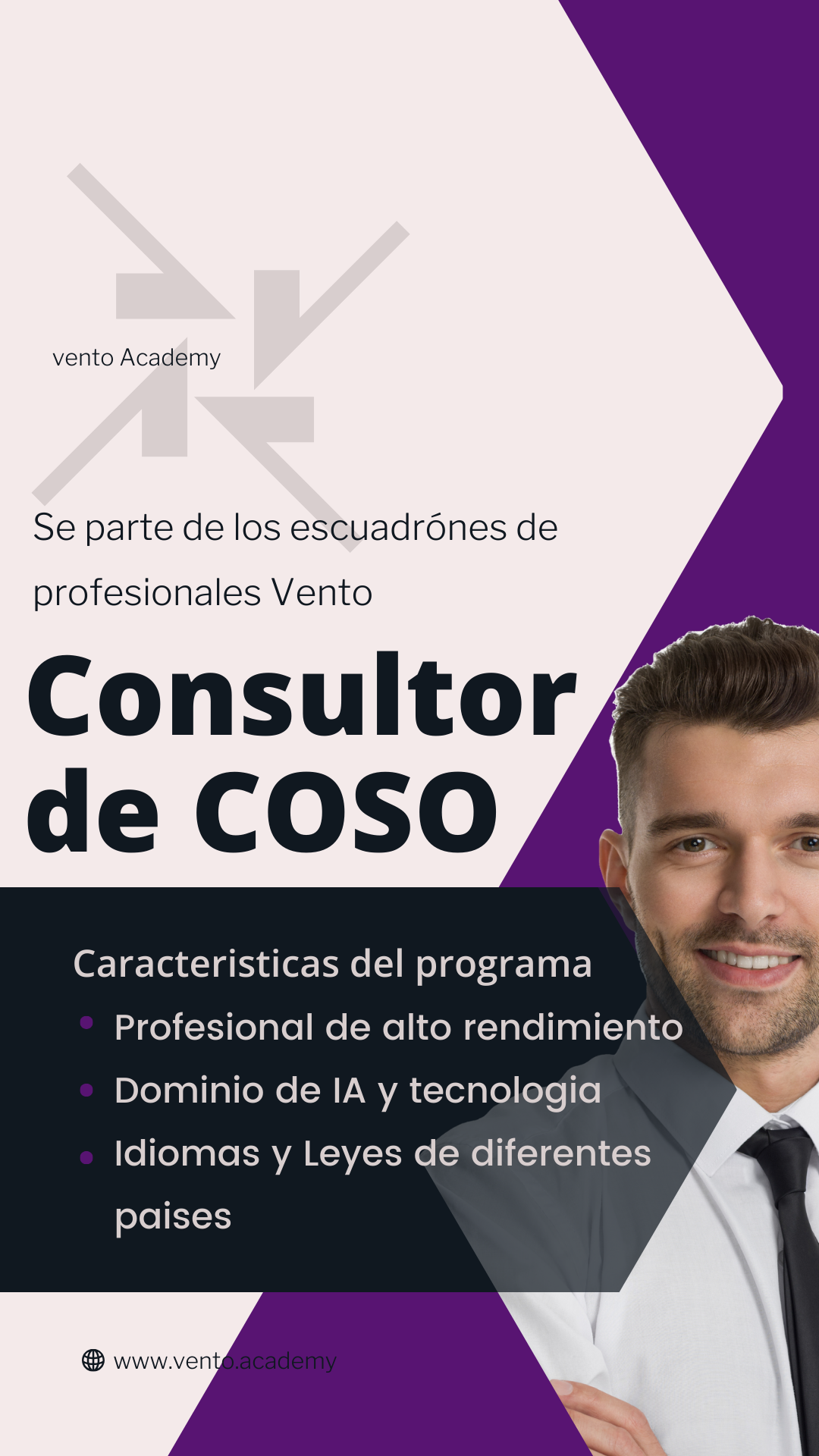 Escuadrón Especial de Control Interno (COSO)